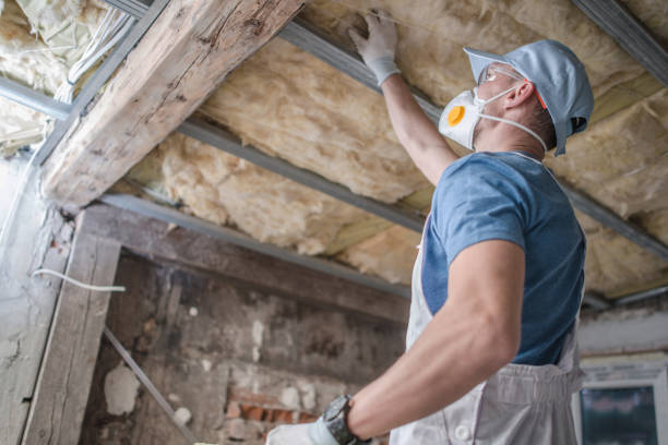 Best Insulation Installation Services in White Hall, IL