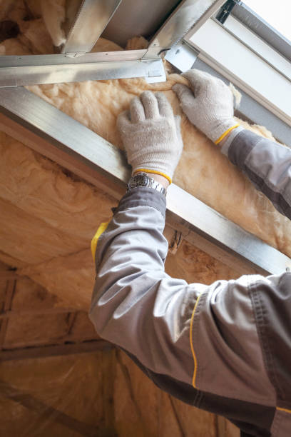 Best Residential Insulation in White Hall, IL