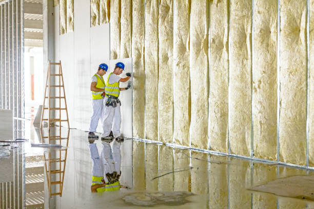 Best Insulation Maintenance and Repair in White Hall, IL